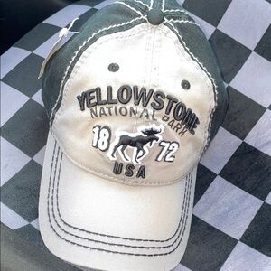 Yellowstone National Park Gray and Black Cap